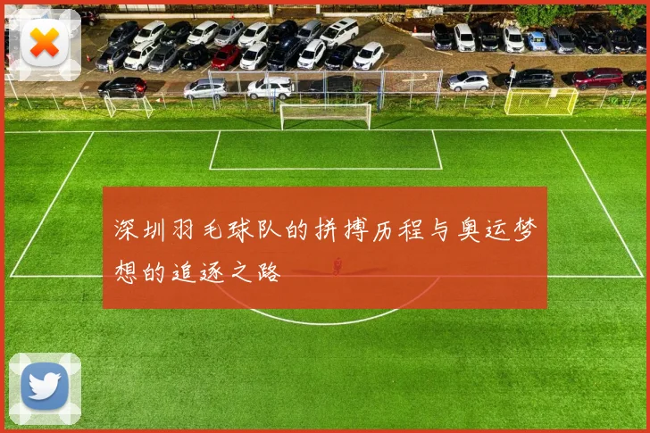 深圳羽毛球队的拼搏历程与奥运梦想的追逐之路