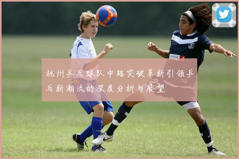 杭州乒乓球队中路突破革新引领乒乓新潮流的深度分析与展望