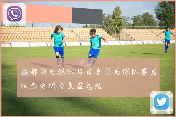 成都羽毛球队与南京羽毛球队赛后状态分析与复盘总结