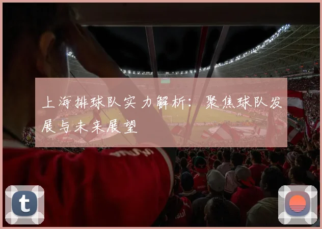 上海排球队实力解析：聚焦球队发展与未来展望