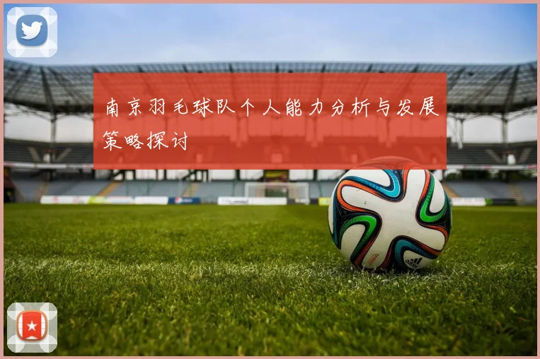 南京羽毛球队个人能力分析与发展策略探讨
