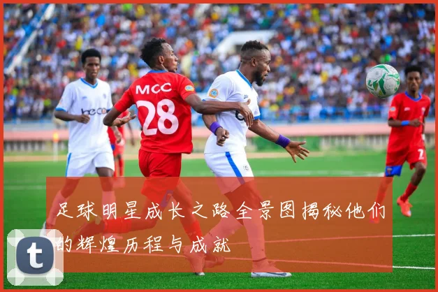 足球明星成长之路全景图揭秘他们的辉煌历程与成就