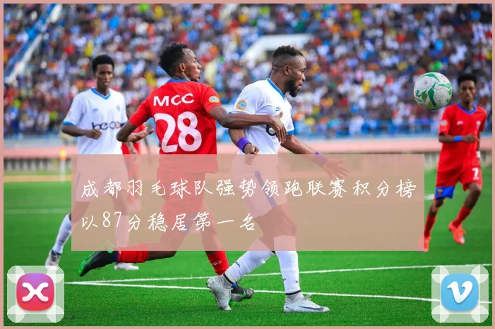 成都羽毛球队强势领跑联赛积分榜以87分稳居第一名