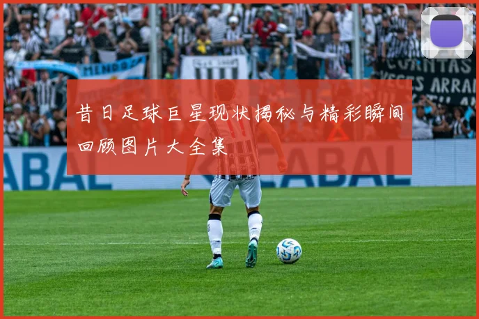 昔日足球巨星现状揭秘与精彩瞬间回顾图片大全集